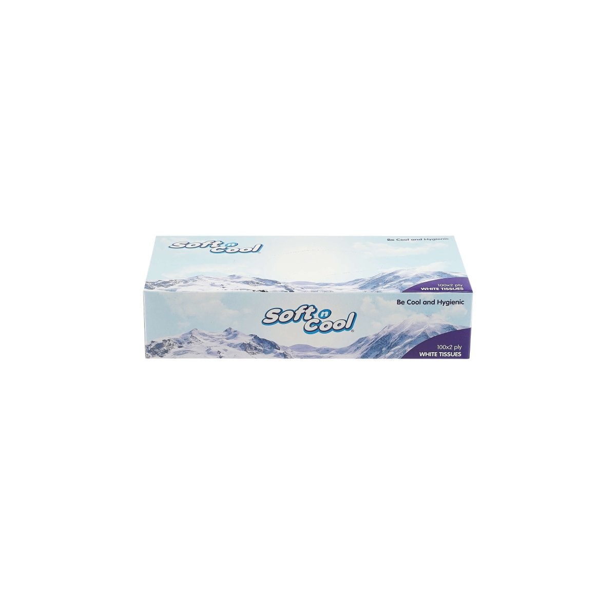 30 Boxes Soft n Cool Facial Tissue 100 Sheets x 2 ply - hotpackwebstore.com - Facial Tissue