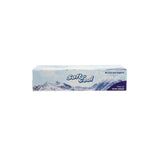 30 Boxes Soft n Cool Facial Tissue 100 Sheets x 2 ply - hotpackwebstore.com - Facial Tissue