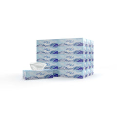 30 boxes Soft n Cool Facial Tissue 150 Sheets x 2 ply - hotpackwebstore.com - Facial Tissue