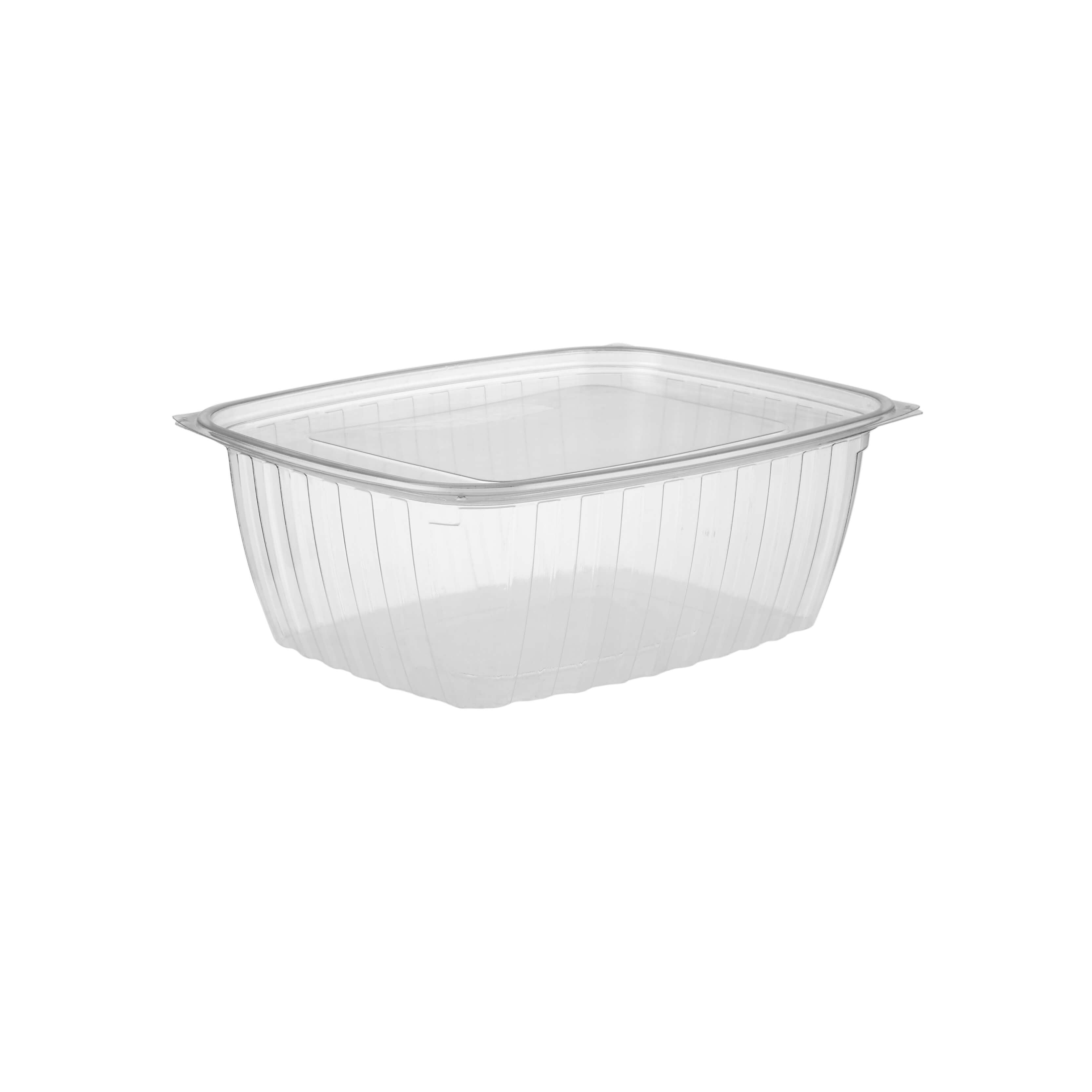Clear Rectangular Container With Lid - hotpackwebstore.com