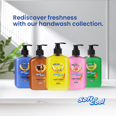 Soft N Cool Liquid Hand Wash 500 ml - hotpackwebstore.com