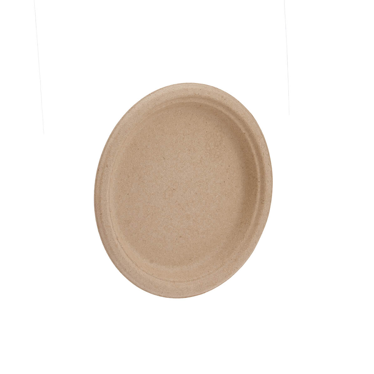 Compostable Round Plate - hotpackwebstore.com