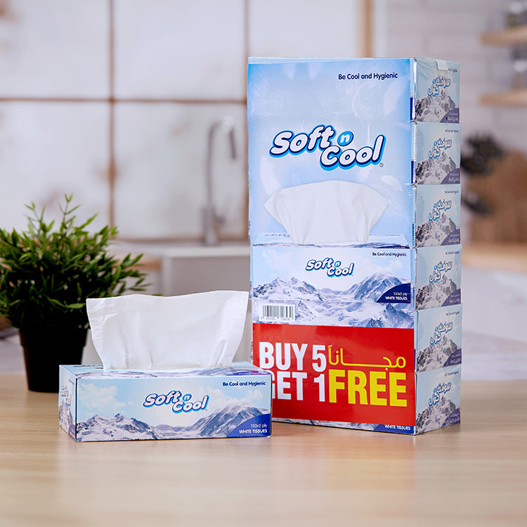 Soft n Cool Facial Tissue 5 + 1 Free 150 Sheets x 2 Ply - hotpackwebstore.com