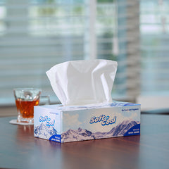 Soft n Cool Facial Tissue 5 + 1 Free 150 Sheets x 2 Ply - hotpackwebstore.com