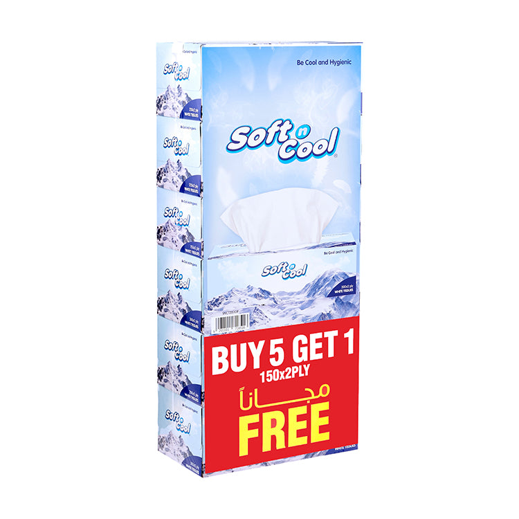 Soft n Cool Facial Tissue 200 Sheets x 2 Ply 5 Boxes + 150 sheets x 2 Ply 1 Box - hotpackwebstore.com