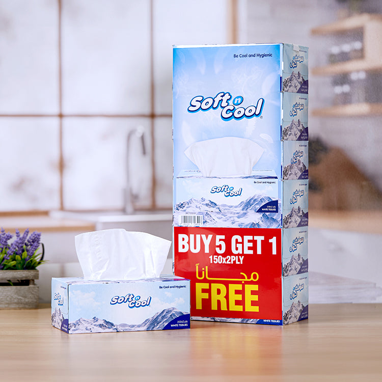 Soft n Cool Facial Tissue 200 Sheets x 2 Ply 5 Boxes + 150 sheets x 2 Ply 1 Box - hotpackwebstore.com