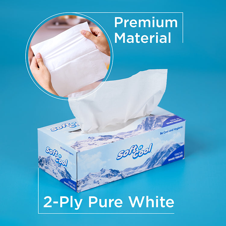 Soft n Cool Facial Tissue 200 Sheets x 2 Ply 5 Boxes + 150 sheets x 2 Ply 1 Box - hotpackwebstore.com