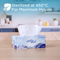 Soft n Cool Facial Tissue 200 Sheets x 2 Ply 5 Boxes + 150 sheets x 2 Ply 1 Box - hotpackwebstore.com