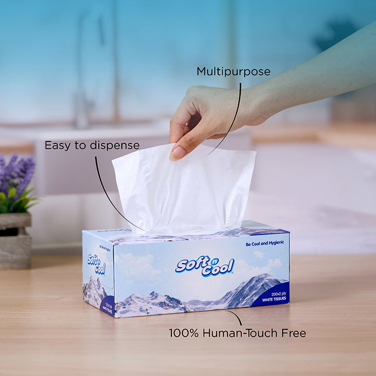 Soft n Cool Facial Tissue 200 Sheets x 2 Ply 5 Boxes + 150 sheets x 2 Ply 1 Box - hotpackwebstore.com