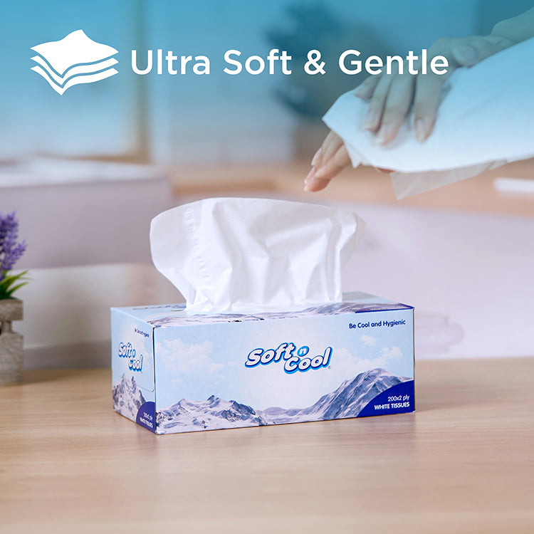 Soft n Cool Facial Tissue 200 Sheets x 2 Ply 5 Boxes + 150 sheets x 2 Ply 1 Box - hotpackwebstore.com
