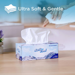 Soft n Cool Facial Tissue 200 Sheets x 2 Ply 5 Boxes + 150 sheets x 2 Ply 1 Box - hotpackwebstore.com