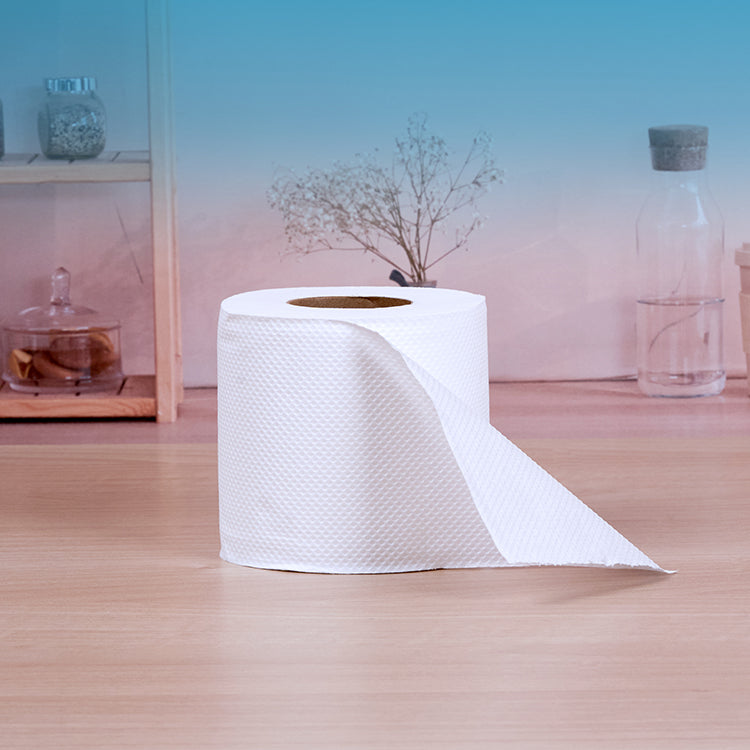 Soft n Cool Toilet Rolls 400 Sheets x 2 Ply 10 Rolls - hotpackwebstore.com