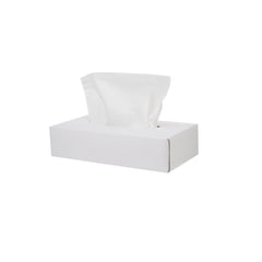 Snow White Tissue 2 Ply x 80 Sheets