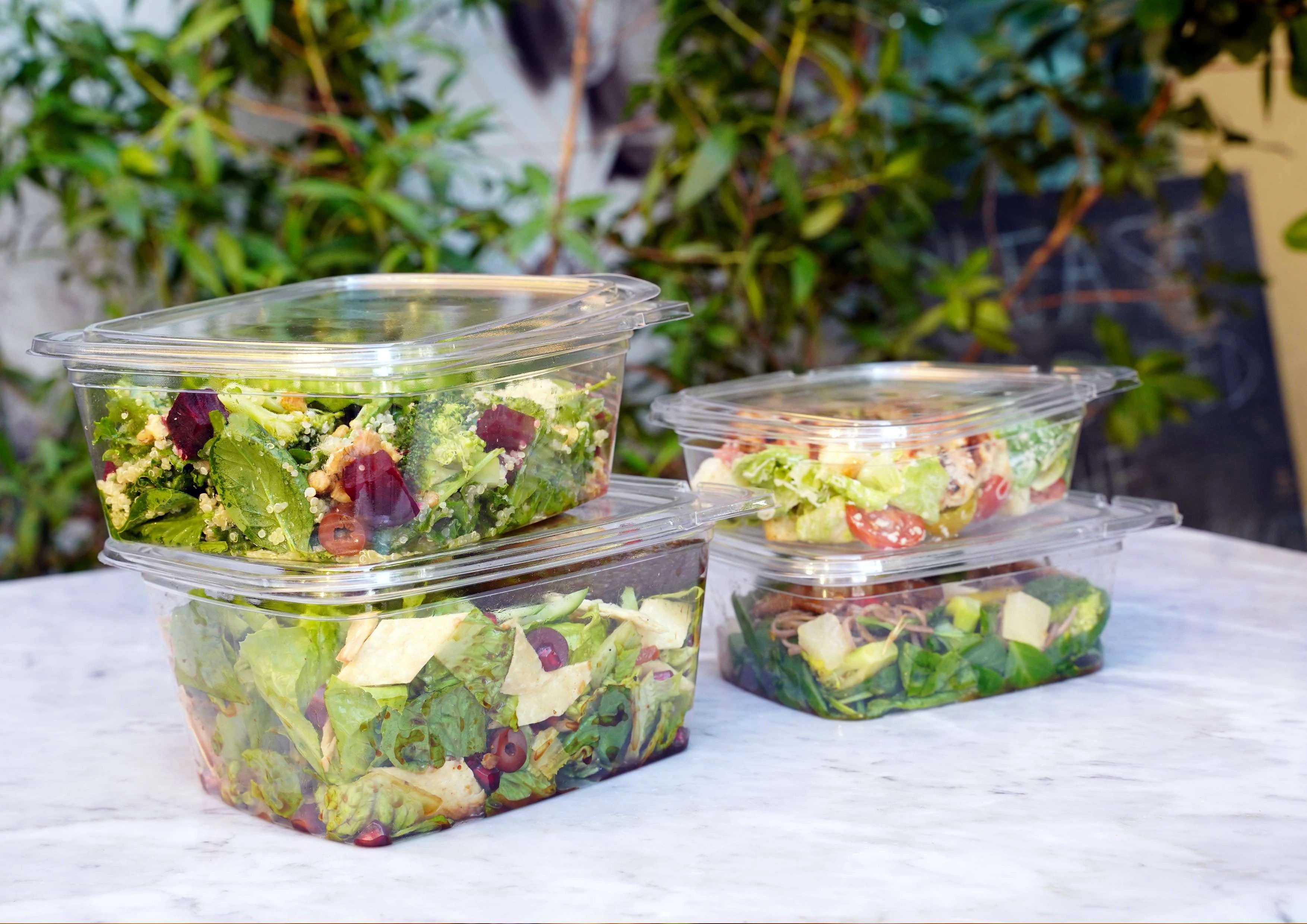 Tamper Evident Square Clear PET Container - hotpackwebstore.com