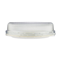 Bio - Degradable Oval Plate 10x8 Inch 200 Pieces - hotpackwebstore.com - Bio - Degradable Plates