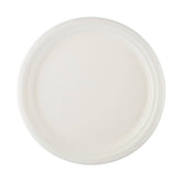 Bio - Degradable Plate 10 Inch 500 Pieces - hotpackwebstore.com - Bio - Degradable Plates