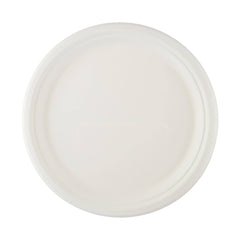 Bio - Degradable Plate 10 Inch 500 Pieces - hotpackwebstore.com - Bio - Degradable Plates