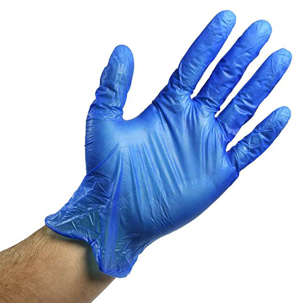 Blue Powder Free Vinyl Gloves - hotpackwebstore.com - Vinyl Gloves