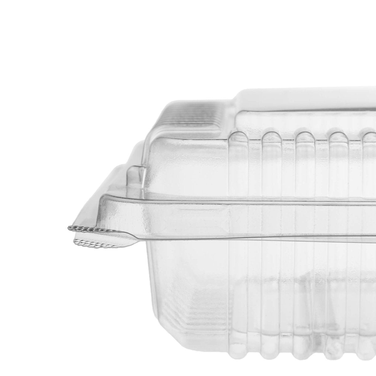Clear Hinged Container - hotpackwebstore.com - Hinged Containers