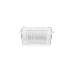 Clear PET Punnet Hinged Container - hotpackwebstore.com - Plastic Products