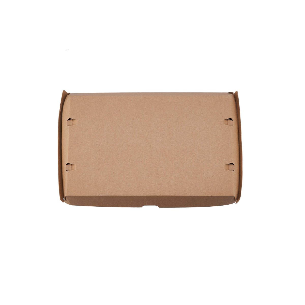 Kraft Flute Family Pack 290X170X80 mm 100 Pieces - hotpackwebstore.com - Kraft Tray