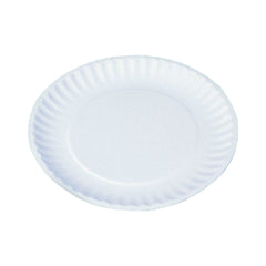 Paper Plate Light Duty 1200 Pieces - hotpackwebstore.com - Paper Plates
