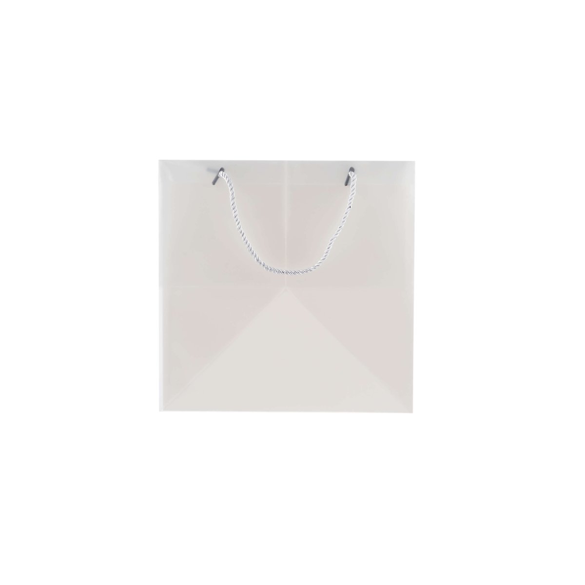 PP Clear Luxury Gift Bag - hotpackwebstore.com - Gift Bags