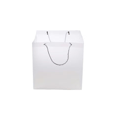 PP Clear Luxury Gift Bag - hotpackwebstore.com - Gift Bags