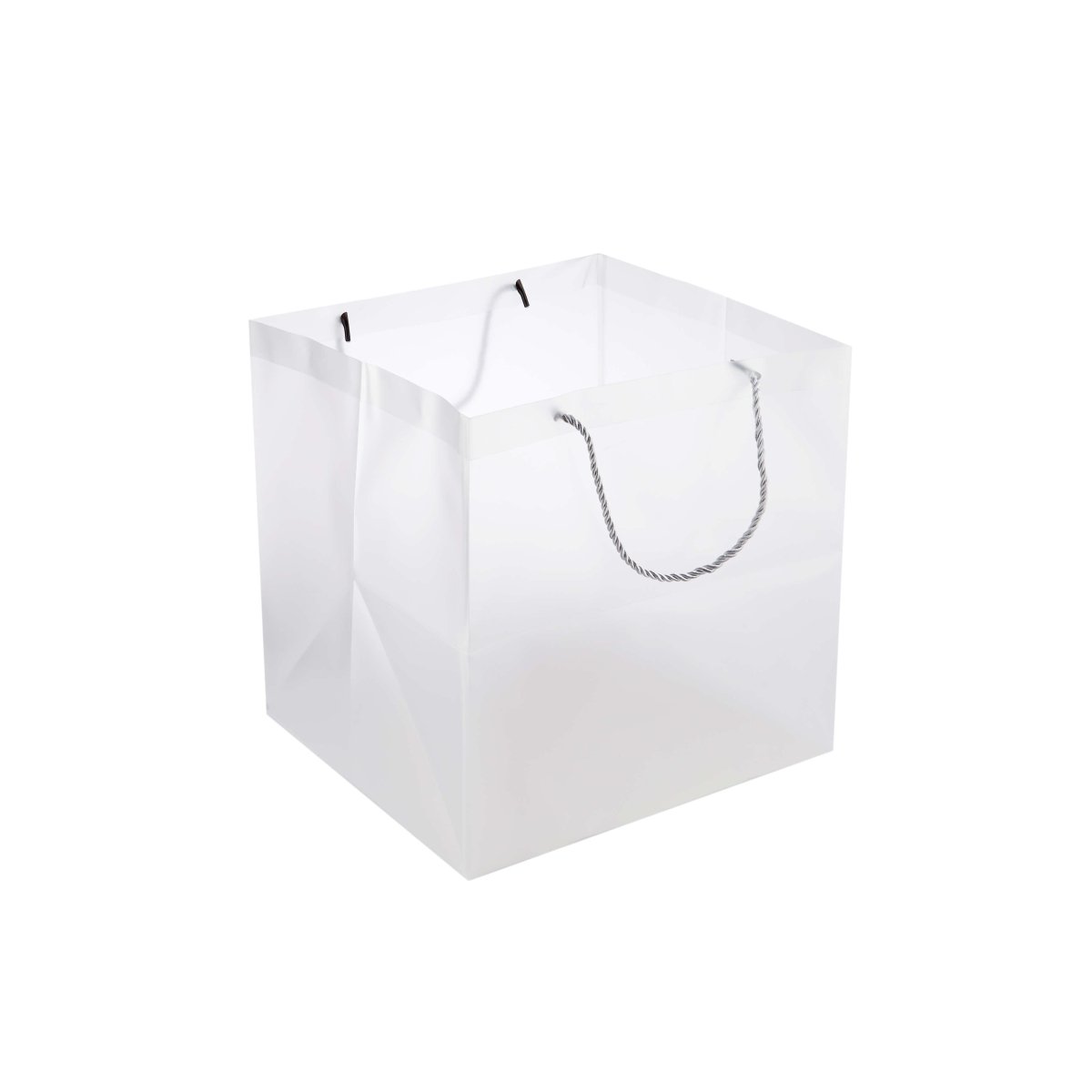 PP Clear Luxury Gift Bag - hotpackwebstore.com - Gift Bags