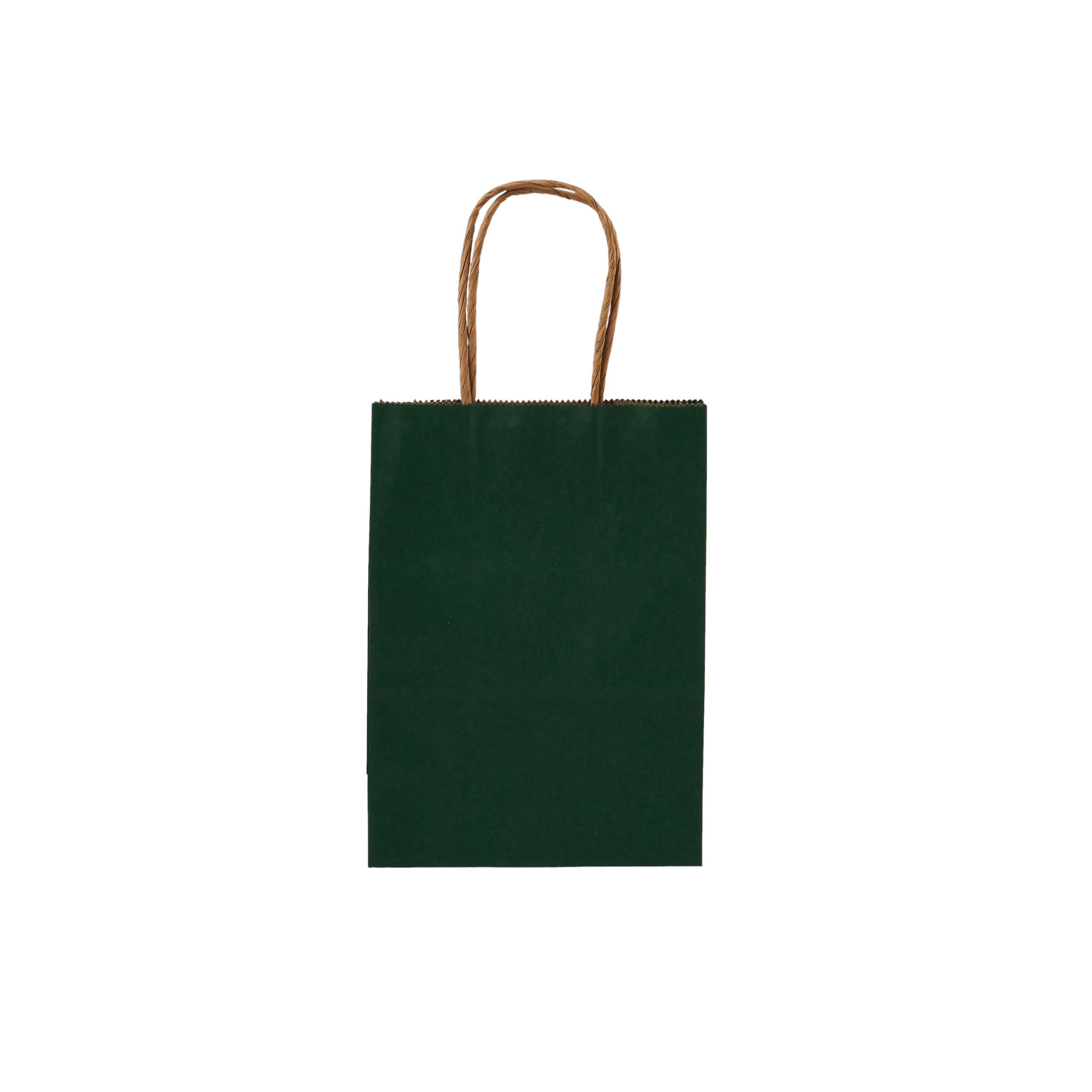 Green Gift Paper Bag Twisted Handle - hotpackwebstore.com
