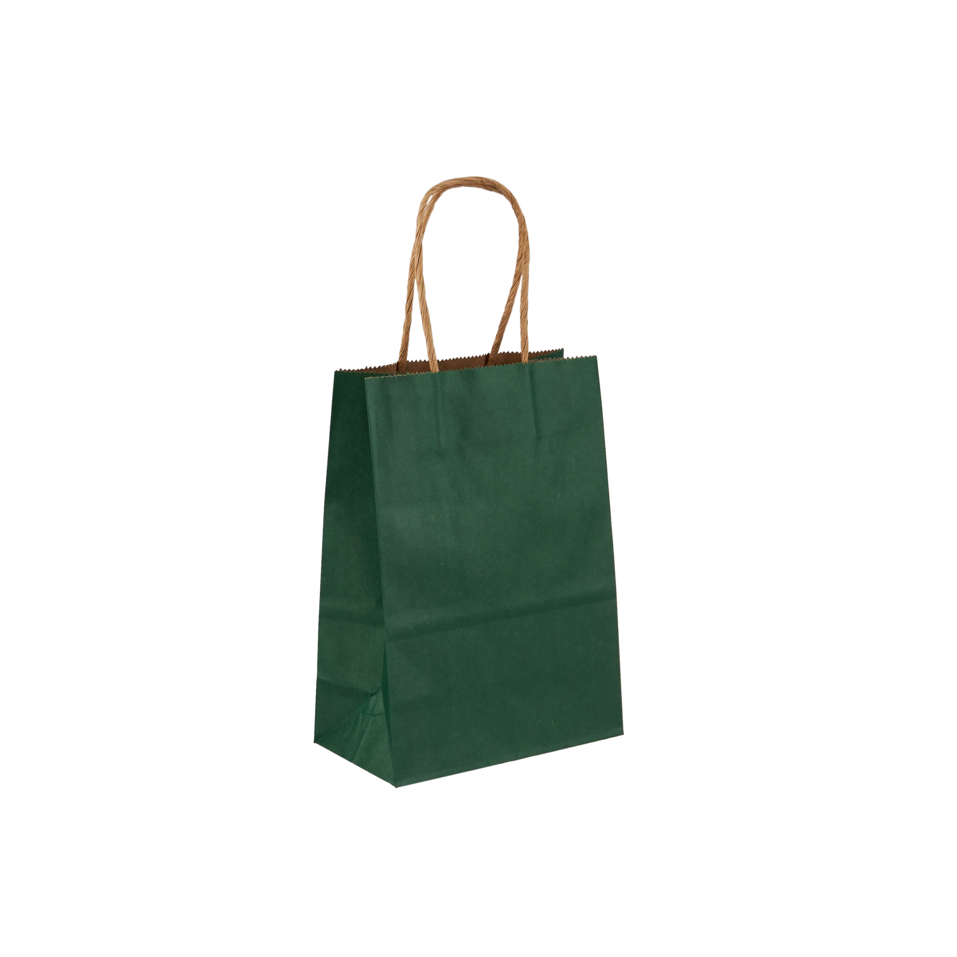 Green Gift Paper Bag Twisted Handle - hotpackwebstore.com