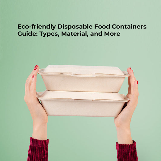 Eco-friendly Disposable Food Containers Guide: Types, Material, and More