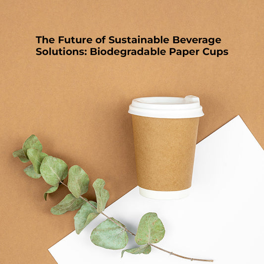 The Future of Sustainable Beverage Solutions: Biodegradable Paper Cups