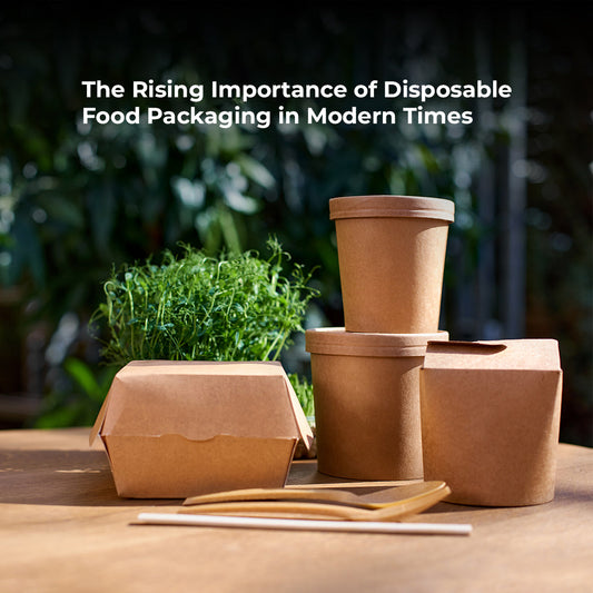 The Rising Importance of Disposable Food Packaging in Modern Times