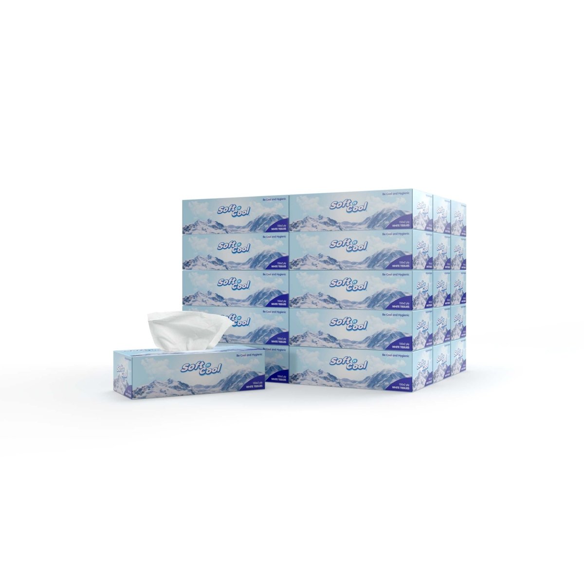 30 boxes Soft n Cool Facial Tissue x 2 ply - hotpackwebstore.com