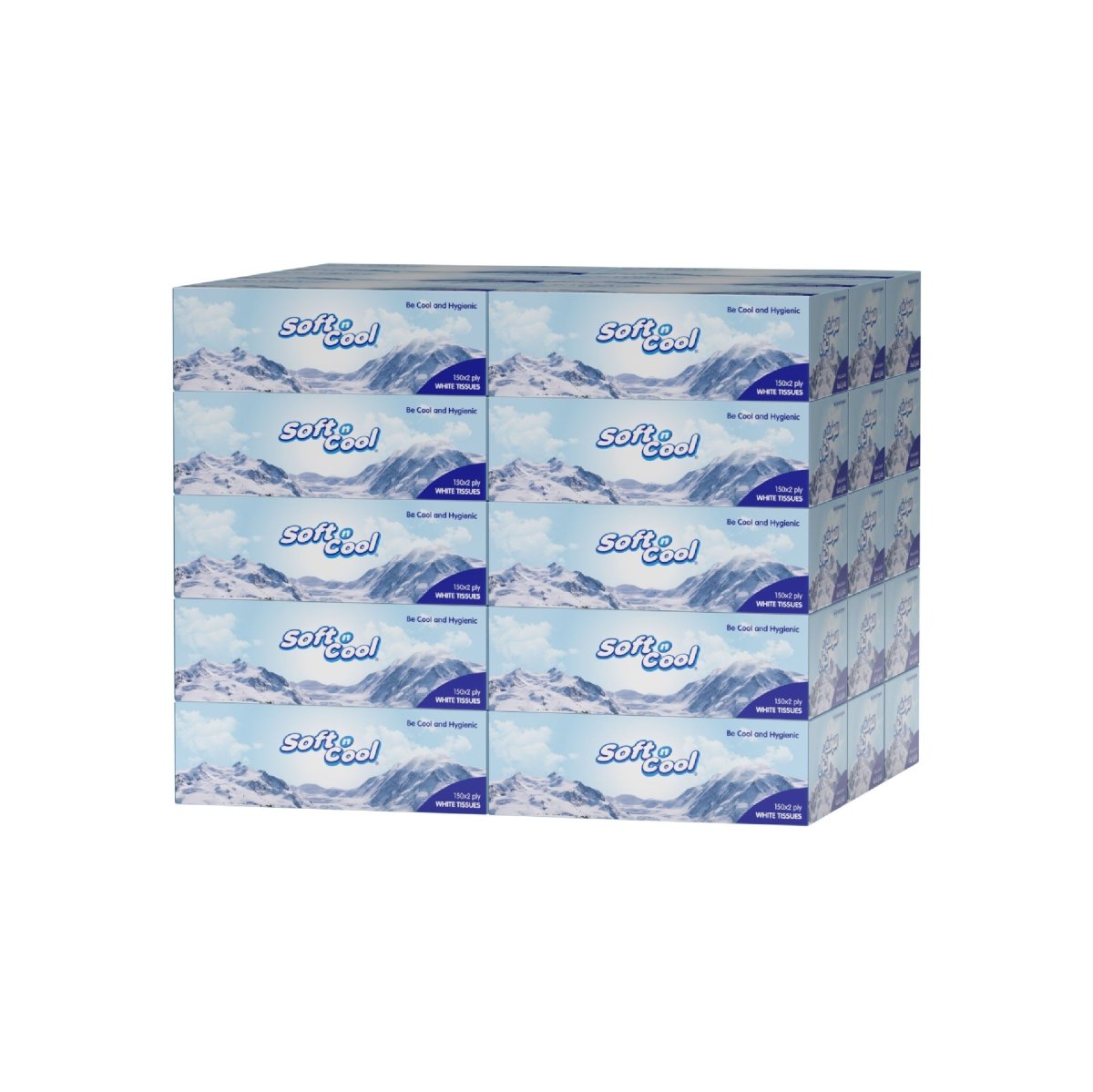 30 boxes Soft n Cool Facial Tissue x 2 ply - hotpackwebstore.com
