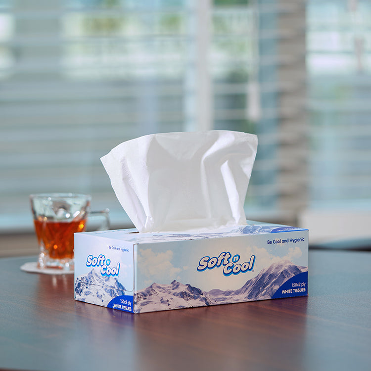 30 boxes Soft n Cool Facial Tissue x 2 ply - hotpackwebstore.com
