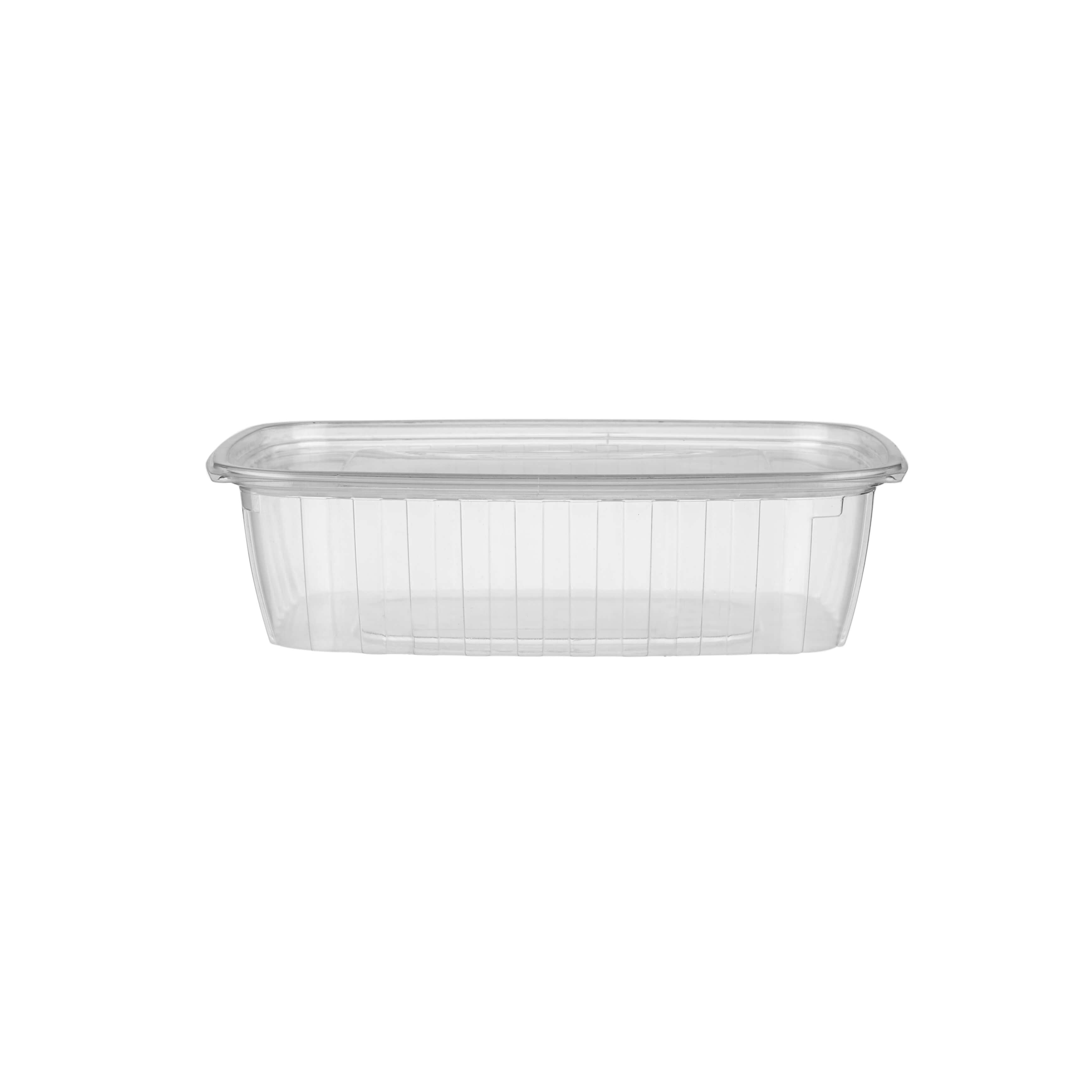 Clear Rectangular Container With Lid - hotpackwebstore.com