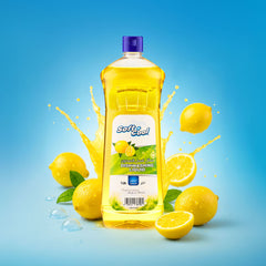 Soft N Cool Dishwashing Liquid - hotpackwebstore.com
