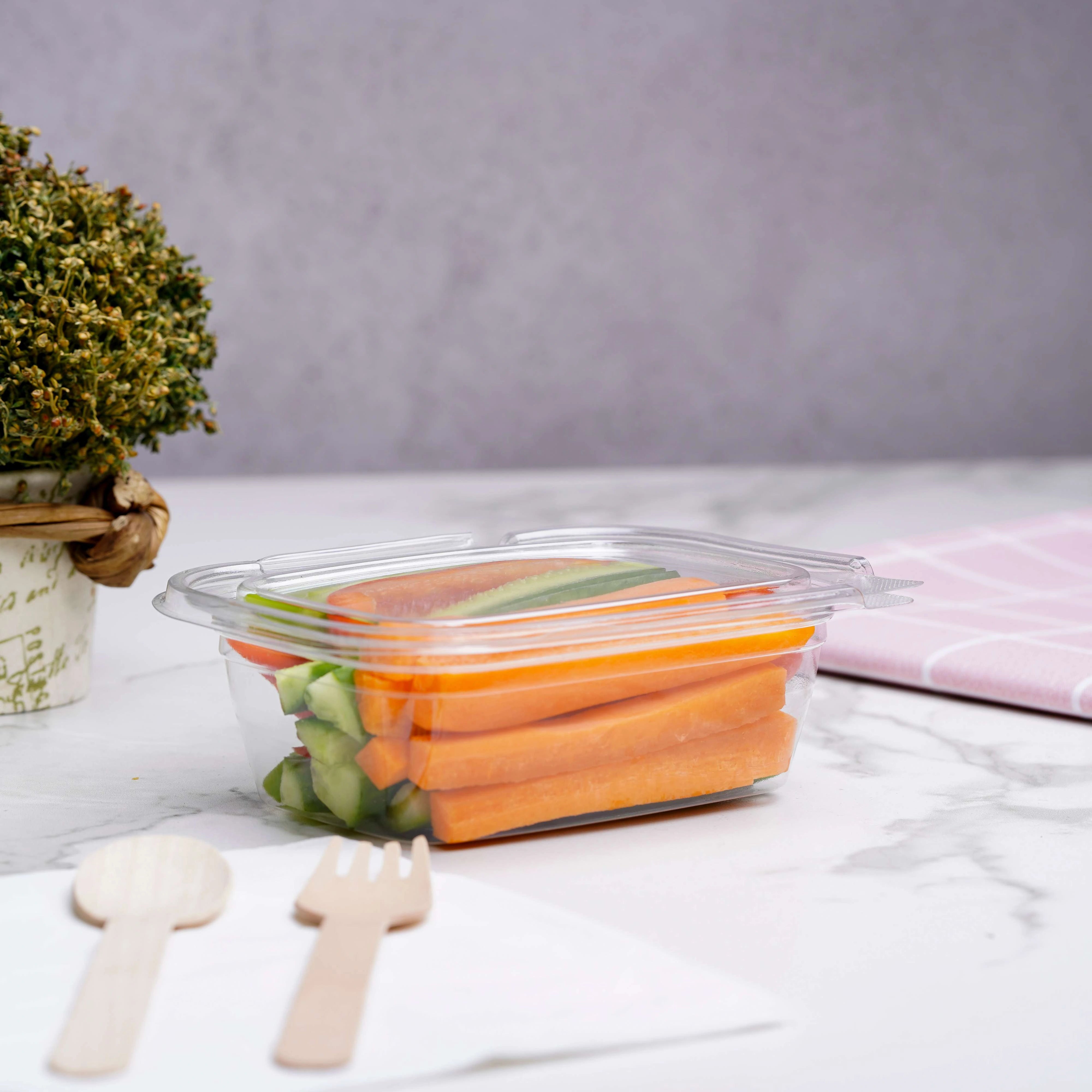 Hinged Square Deli Clear PET Container - hotpackwebstore.com