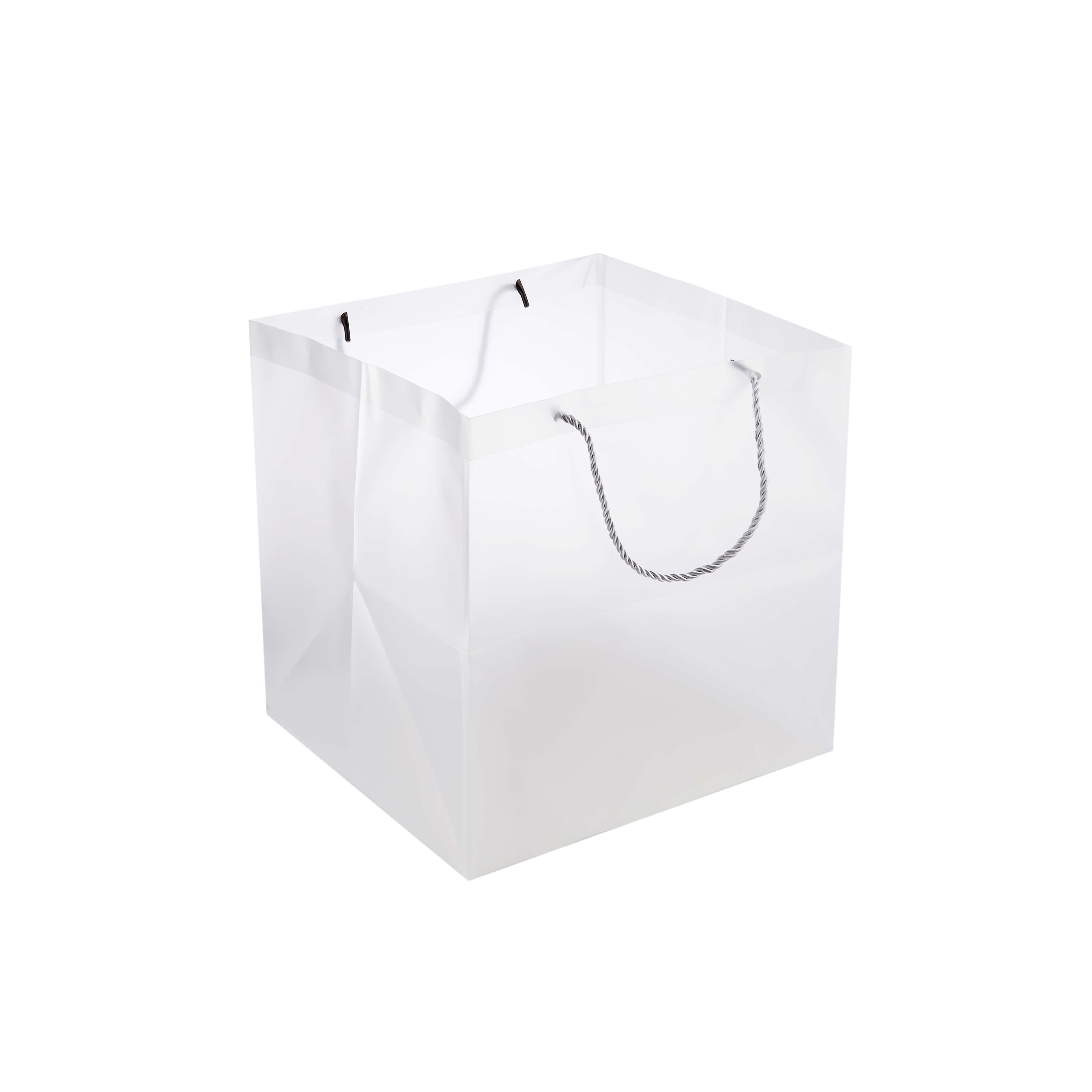 PP Clear Luxury Gift Bag - Hotpack Global