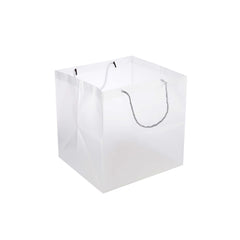 PP Clear Luxury Gift Bag - Hotpack Global