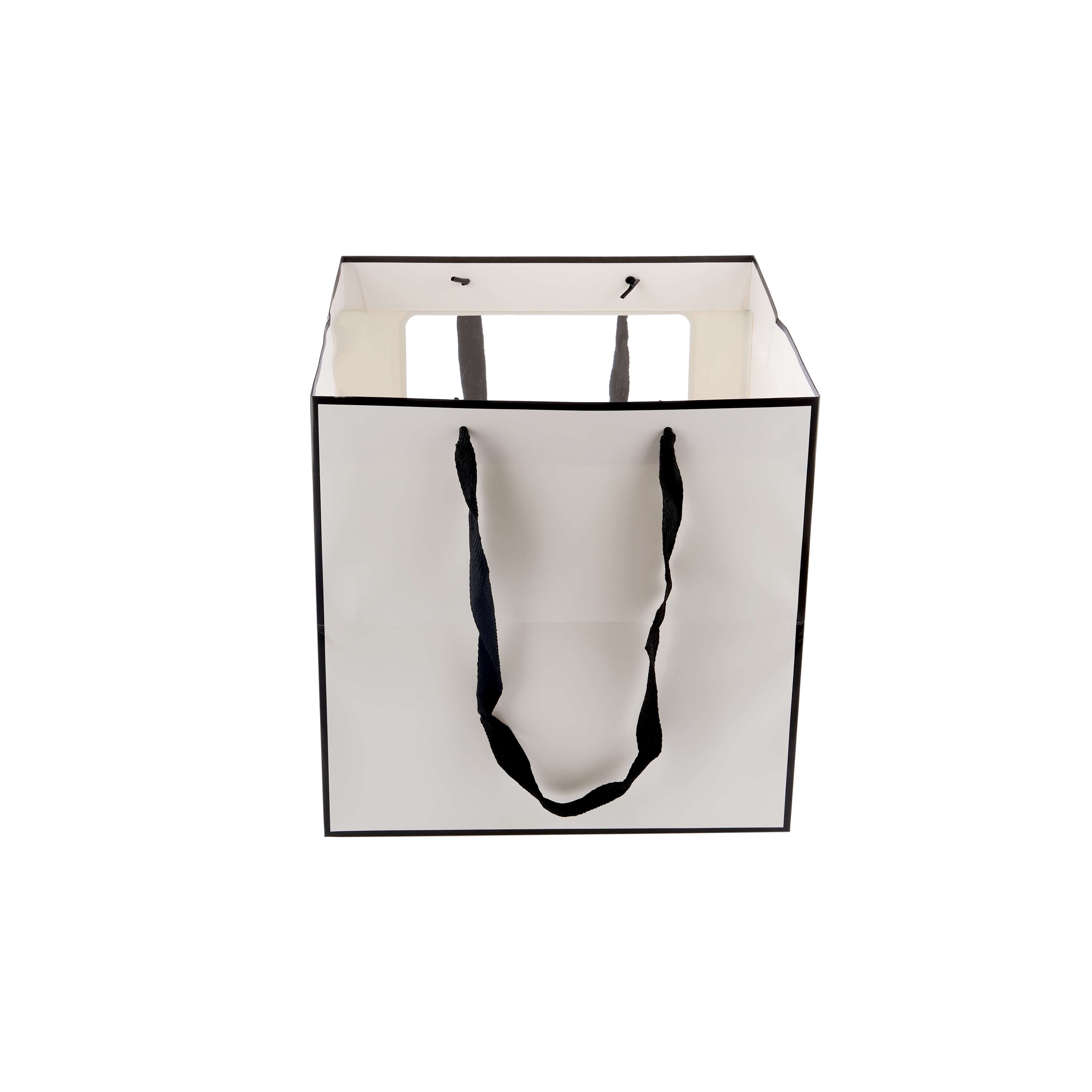 Luxury Gift Paper Bag With Window - Hotpack Global