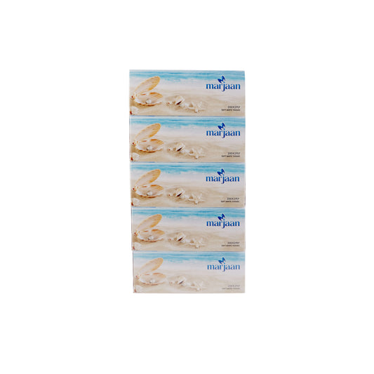 Marjaan Facial Tissue 200 Sheets x 2 Ply 30 Pieces - hotpackwebstore.com