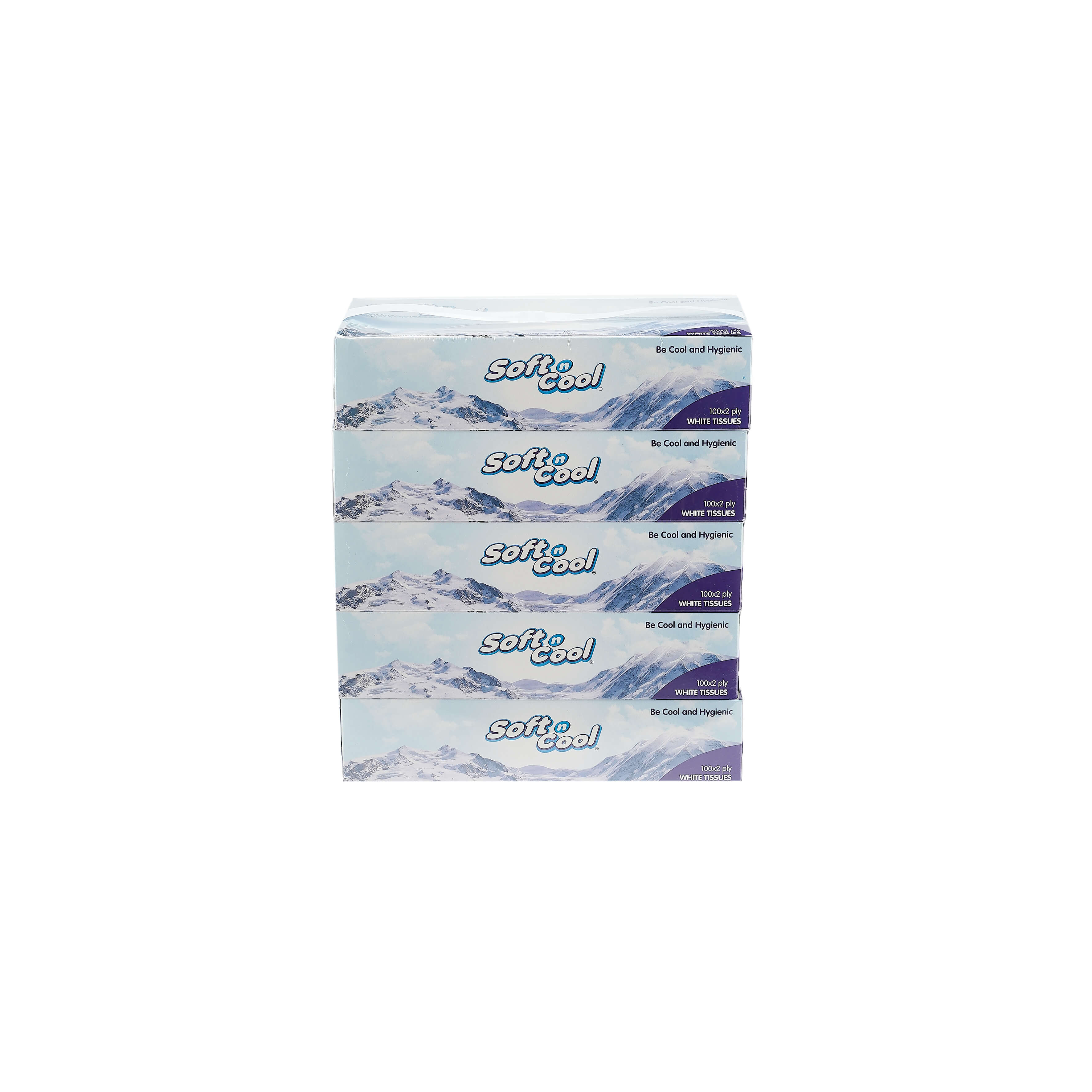 soft facial tissues 100 sheets x 2ply - hotpack global