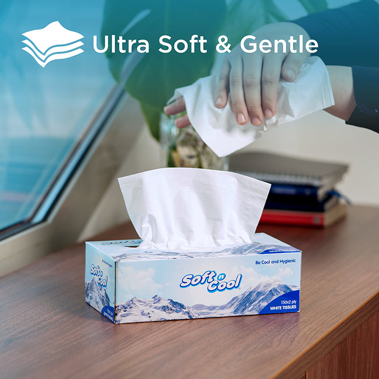 Soft n Cool Facial Tissue 5 + 1 Free 150 Sheets x 2 Ply - hotpackwebstore.com