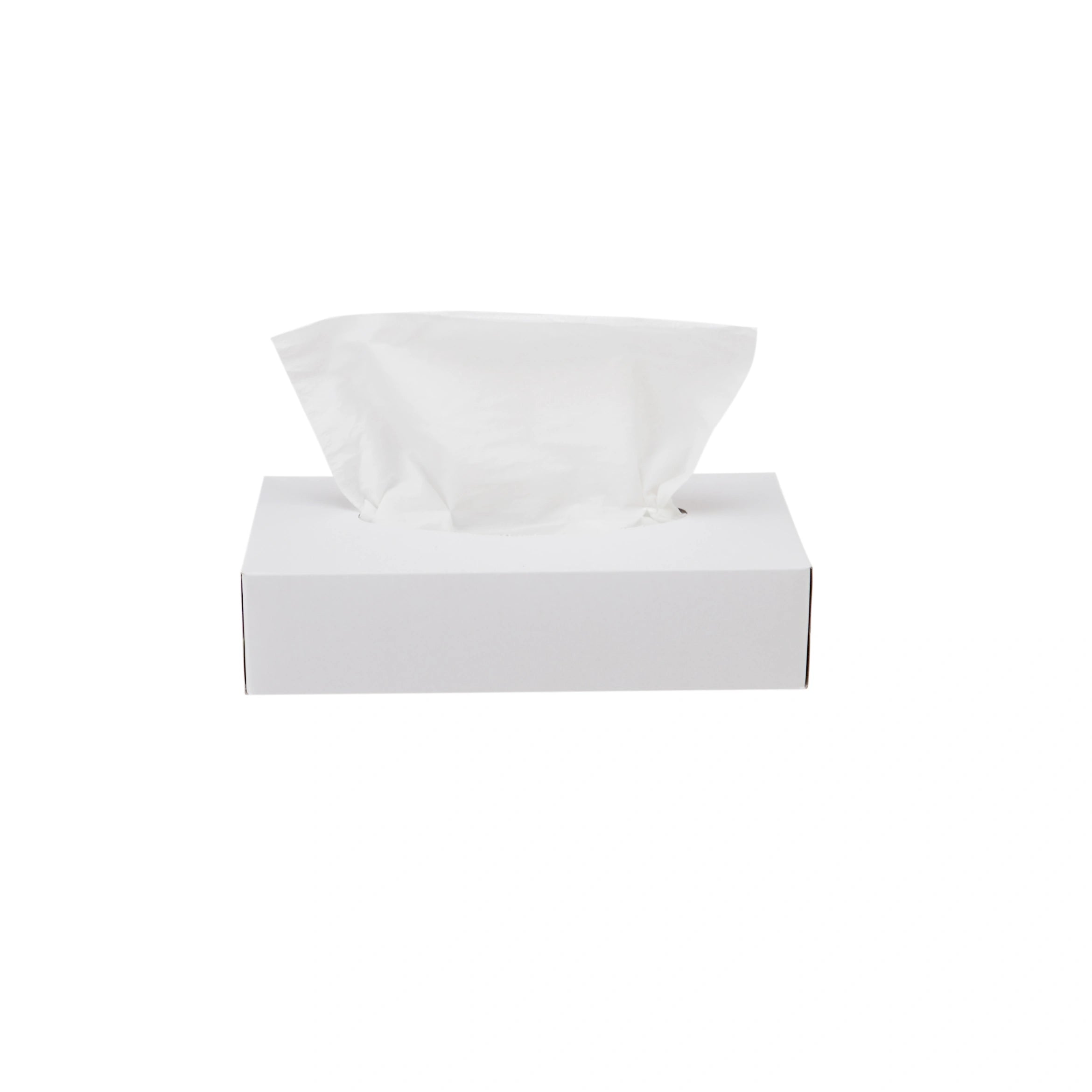 Snow White Tissue 2 Ply x 80 Sheets