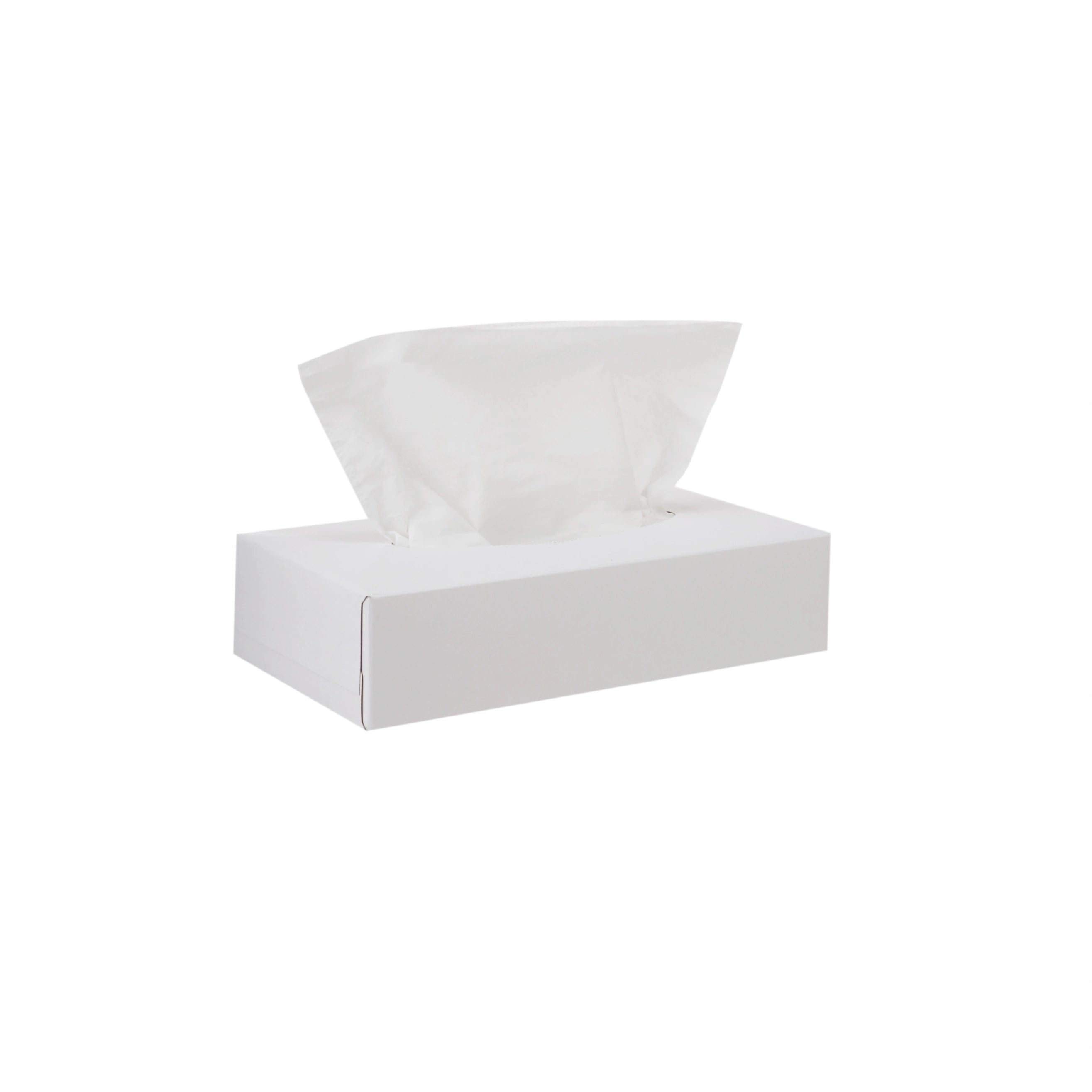 Snow White Tissue 2 Ply x 80 Sheets