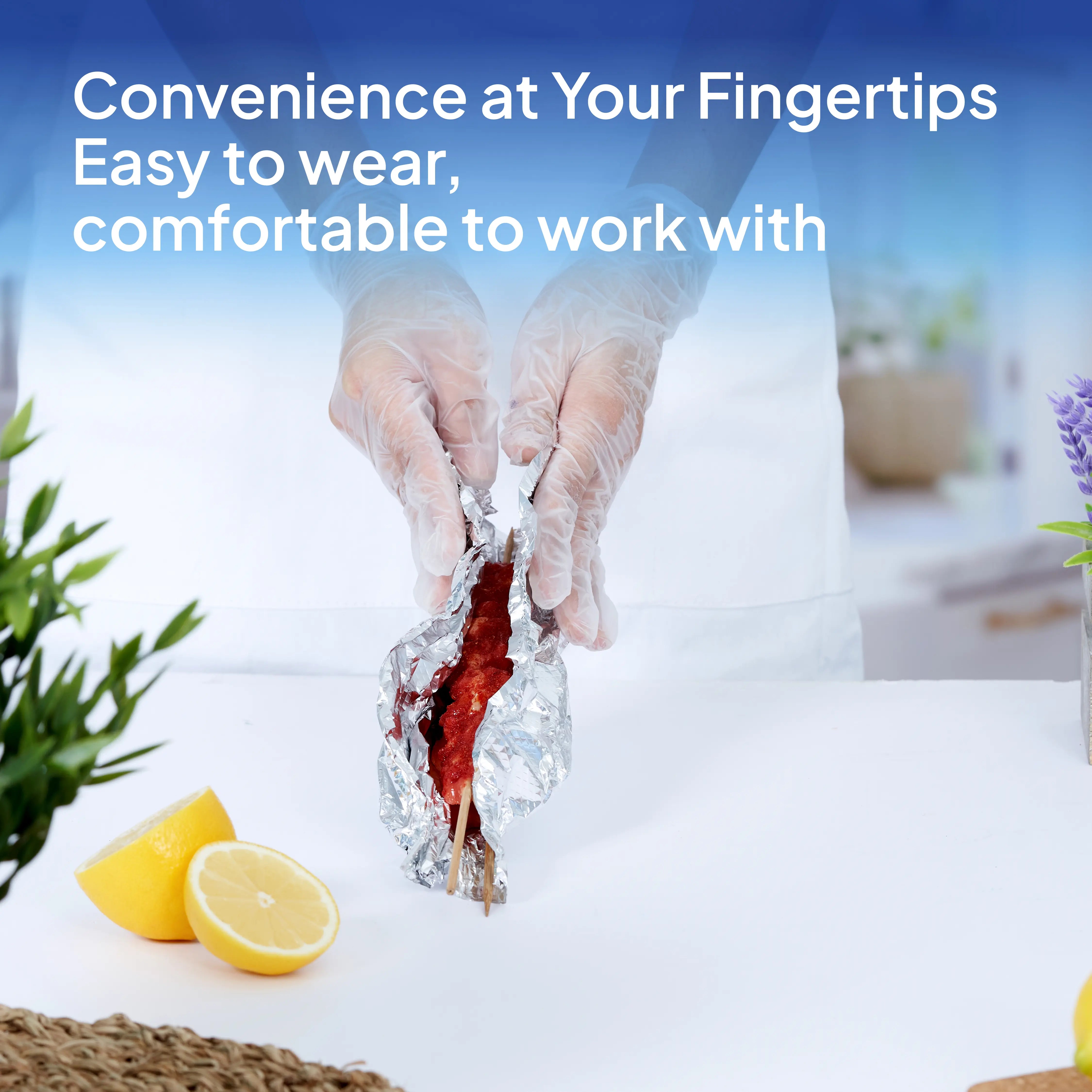 Powder Free Vinyl Gloves