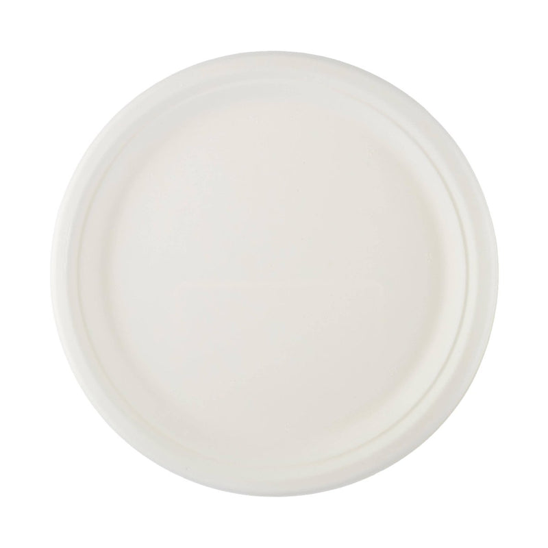 Bio - Degradable Plate 10 Inch 500 Pieces - hotpackwebstore.com - Bio - Degradable Plates